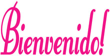 Load image into Gallery viewer, BIENVENIDO WALL DECAL HOT PINK
