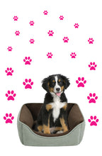 Load image into Gallery viewer, HOT PINK PAW PRINT STICKERS