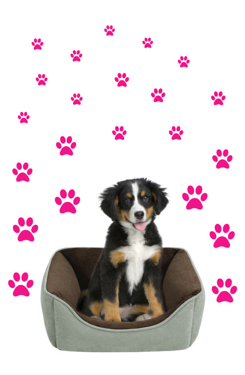 Hot pink paw print - Paw Print - Sticker