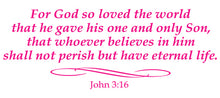 Load image into Gallery viewer, JOHN 3:16 RELIGIOUS WALL DECAL IN HOT PINK