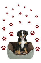 Load image into Gallery viewer, MAROON PAW PRINT STICKERS