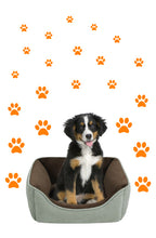 Load image into Gallery viewer, ORANGE PAW PRINT STICKERS