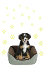 Load image into Gallery viewer, PALE YELLOW PAW PRINT STICKERS
