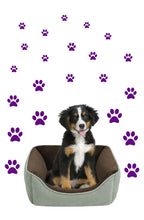 Load image into Gallery viewer, PURPLE PAW PRINT STICKERS