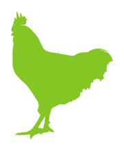 Load image into Gallery viewer, ROOSTER WALL DECAL IN LIME GREEN