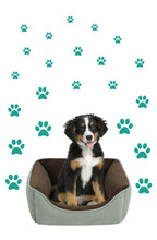 Load image into Gallery viewer, TURQUOISE PAW PRINT STICKERS