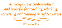 Load image into Gallery viewer, 2 TIMOTHY 3:16 RELIGIOUS WALL DECAL IN ORANGE
