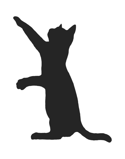 thumbnail image 2 of 5-Inch Crazy Cat Lady Decal – Vinyl Sticker For Car, Laptop, Or Tumbler 2 of 6