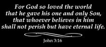 Load image into Gallery viewer, JOHN 3:16 RELIGIOUS WALL DECAL IN WHITE
