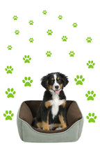 Load image into Gallery viewer, LIME GREEN PAW PRINT STICKERS
