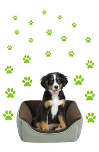 LIME GREEN PAW PRINT STICKERS