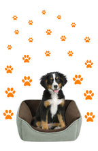 Load image into Gallery viewer, ORANGE PAW PRINT STICKERS
