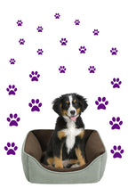 Load image into Gallery viewer, PURPLE PAW PRINT STICKERS
