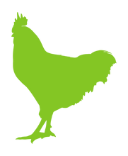 Load image into Gallery viewer, ROOSTER WALL DECAL IN LIME GREEN
