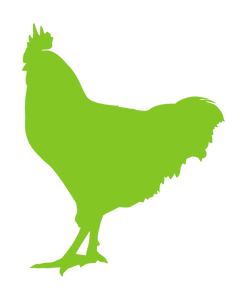 ROOSTER WALL DECAL IN LIME GREEN