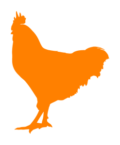 ROOSTER WALL DECAL IN ORANGE