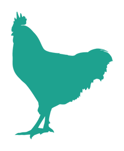 ROOSTER WALL DECAL IN TURQUOISE