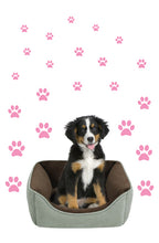 Load image into Gallery viewer, SOFT PINK PAW PRINT STICKERS
