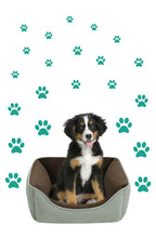 Load image into Gallery viewer, TURQUOISE PAW PRINT STICKERS
